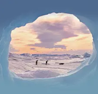 罗先生头像